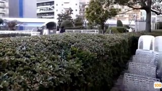 亚洲AV.亚洲最大色情网日本免费一区香蕉视频,亚洲毛片免费一级,国产在线精品一区亚洲毛片免费一级,国产在线精品一区二区不卡麻豆